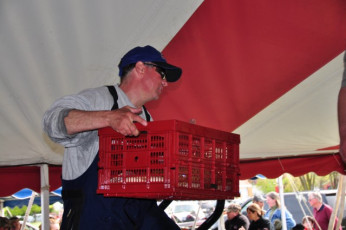 090EDABD-846E-48CA-8581-6A85944F8738