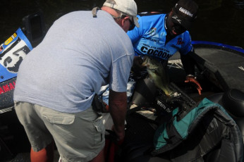 09C0D6EE-2809-4DD9-A382-B4DB100BAF16