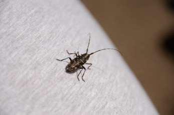 09E5E037-6B2C-4412-884B-423D2525277A