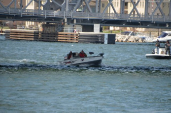 0B868CA2-96DE-4489-A899-2B2B8927A67C