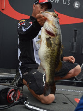 0CC8A9D3-406D-49E1-9208-9DFC57F786EE