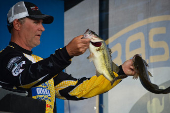 101CA966-3D02-44D8-A284-4A8A525DB63E