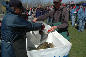 12652D38-82AA-4F33-819D-EAF8287DD0B5