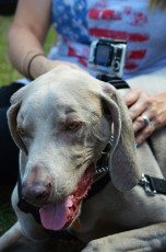 15AA3C69-6EA2-40E7-ACED-7D55FE46266F