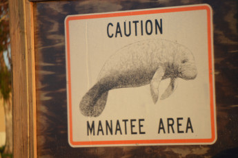 166FB82B-2AEF-43AA-AC75-FAFB73B432B1