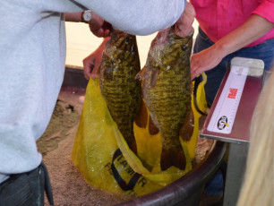 16C99556-21B1-48E0-95F6-78F2847EAA1B