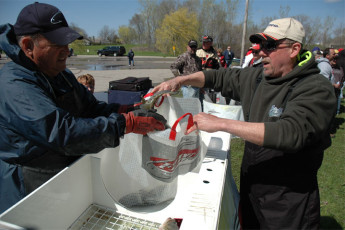 185DC323-F220-41A3-BF13-A54549FBECEB