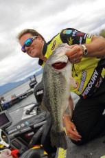 19BC0673-B216-4844-A81D-DF1A046A3978