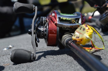 1B083A6E-B0E4-4581-9587-DC8D49836915