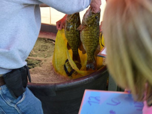 1B180472-B151-4BF0-A59A-D7D2BC753BB6