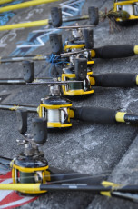 1B9C60DD-3141-46DB-8A77-119DEEDDF16B