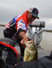 1E9879FE-CFE7-40D5-8CF8-B48ECF2269E7