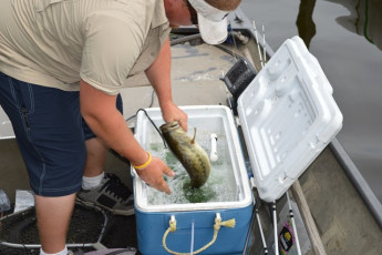 213E72BF-C6C3-48CB-B905-4949776A670B