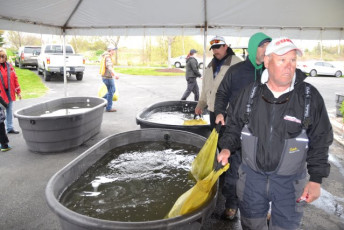 23558D59-6A31-4496-A239-AB1FF421135F