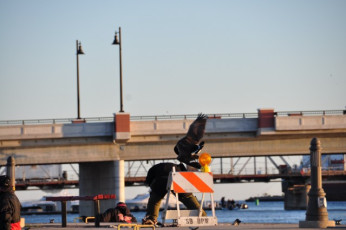 25C3CE02-C8C6-4A87-BD06-636925A82070