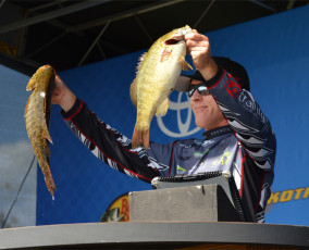 2A68C236-852F-4211-8AB3-A33F280C14DE