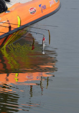 2D56DA08-815B-4082-8206-31EB430BA13D