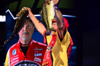 2F24D2ED-BB8E-420E-85FB-A95CCA83ED5A