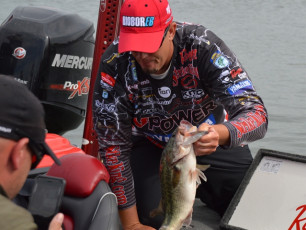 301676F5-2612-4A8F-B509-60E4A0841D5C