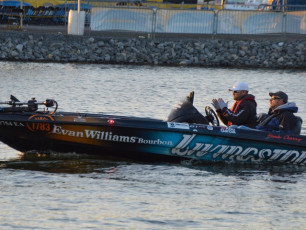 369247AC-CE68-4CE8-8735-75F7800462A4