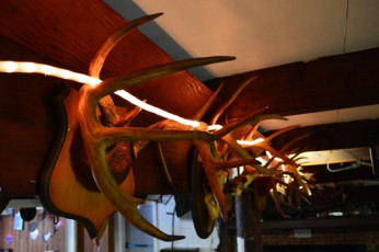 3B8E1633-CE13-4878-90D8-785A8F57AFEE