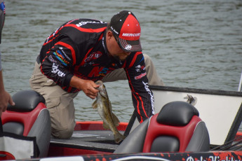 3C5E0CE9-14BF-443E-A6CB-0A2E703D4349