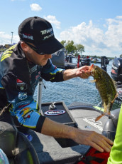 3D500DC0-C6A1-4428-BF1D-8A1D23FFDF6D