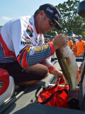 3D9D6290-8CC2-4113-A4B9-E85BECB63173