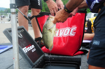 3E315CE8-7FE6-44EF-B0E5-E4BBA766ED51