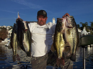 41C8B354-42FA-4882-BBBC-4A438196DE5E