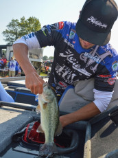 43E6643F-87C9-456E-8D07-74C1C99F35A8