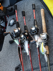 44003375-F47F-405B-B889-5B8F02F90690