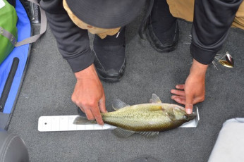 4715650E-A373-4267-AFB7-ABFB548D1841