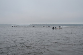 474F296C-CDA1-4B10-94AA-8B00ACDB91E8