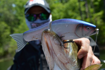 4944A76F-A746-47CE-A66A-B40EFB1DA77F