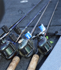 4B0FF82B-E73E-4C99-B446-EA0570D3336B