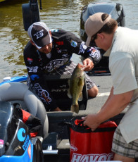 4D3F533F-E2C0-4A65-8572-1DC6CE49EFB1