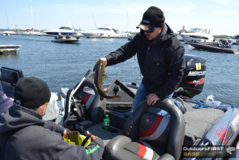 52779D22-9E64-4C14-9332-017CCD249475