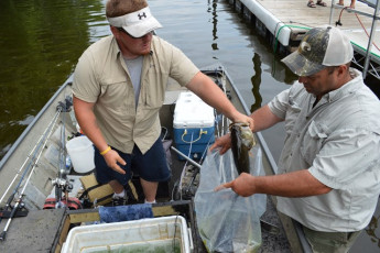 567612C6-AAC1-4E63-AD00-61625329022F