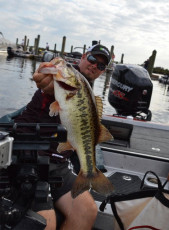 578B382D-8E80-4B3A-8688-9002F21B64BE