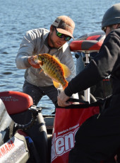 5C3238C0-1F29-4CBD-A944-AF24441E7CF0