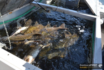 5EFE00CE-40C2-4CAA-96A5-CCAC8F450D22