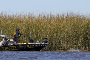 5FD2D303-FF07-4F8B-82EF-2CD5525E2F7D