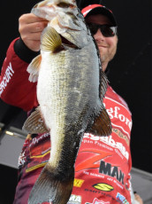 61646477-0308-4DB9-85BA-BF609BCE00AF