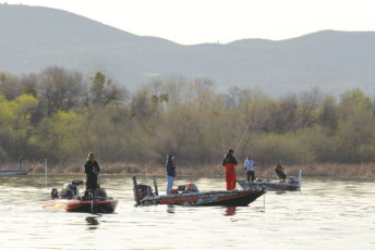 616B2756-3488-42C5-9C36-C16C18566751