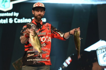 657AC269-0F3D-43D3-AA37-70C66E9F7267