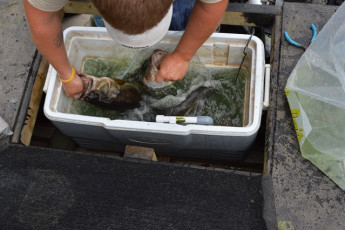 6BBE505B-3CFE-4E32-BEBE-490B679D28F0