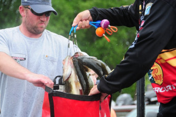 6F60EB6F-26FD-42BF-8732-7A9FEE734E52