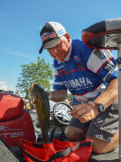 732294A3-F0B5-4EE3-A5C9-E6BD1F152DD1