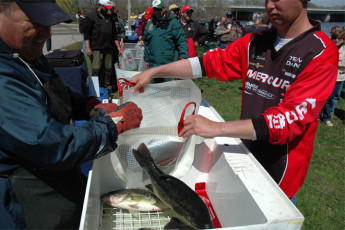 751EFFD3-6C5A-4006-BA69-B55E7730E6B6